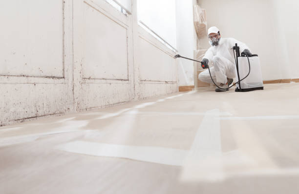 24/7 Emergency Bathroom Mold Removal experts in Wayne, NJ